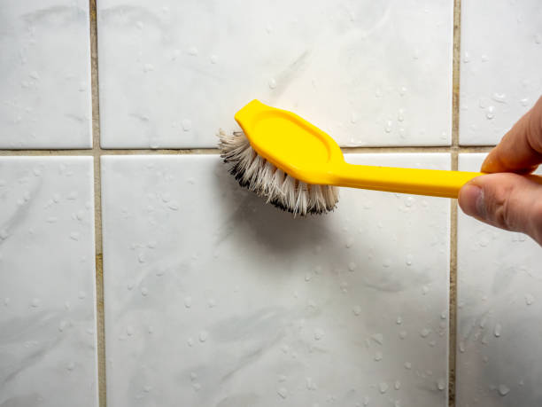 Best Mold Removal Company Near Me  in West Wood, UT