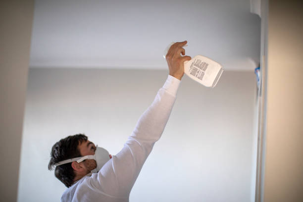 Best Emergency Mold Removal  in West Wood, UT