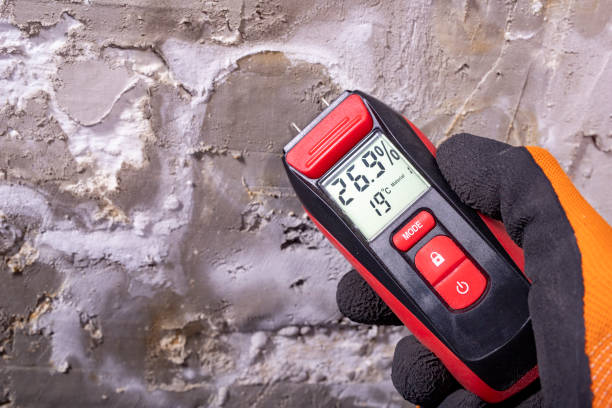 Best Mold Cleaning Services  in West Wood, UT